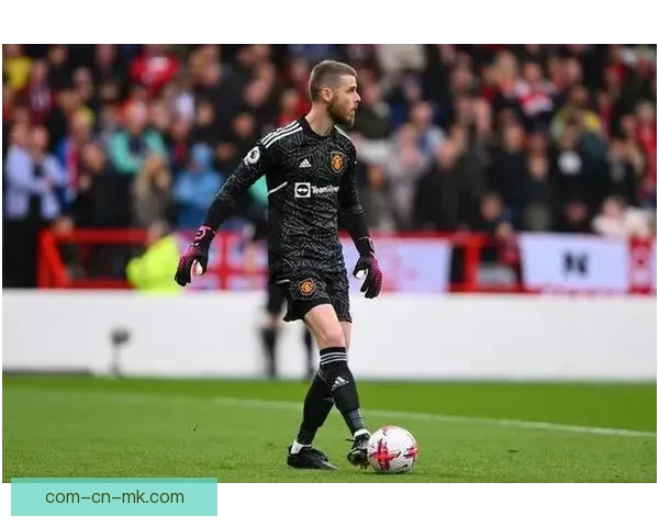 佛罗伦萨免签大卫·德赫亚回归意甲后屡现神扑展现昔日曼联门神风采